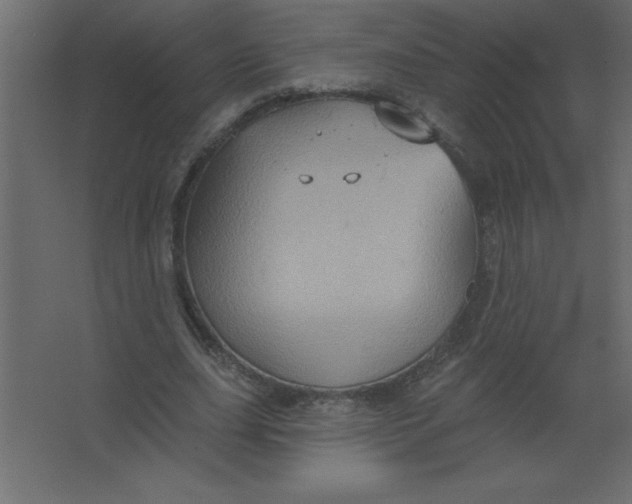 X0000067350631200604212002