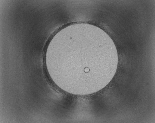 X0000067350632200604212002