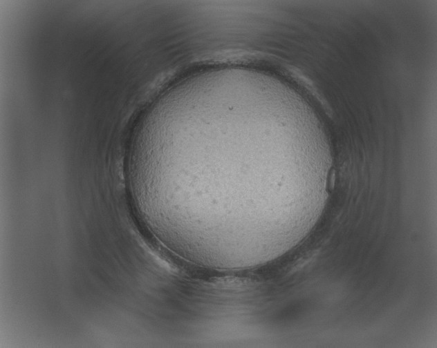 X0000067350633200604212002