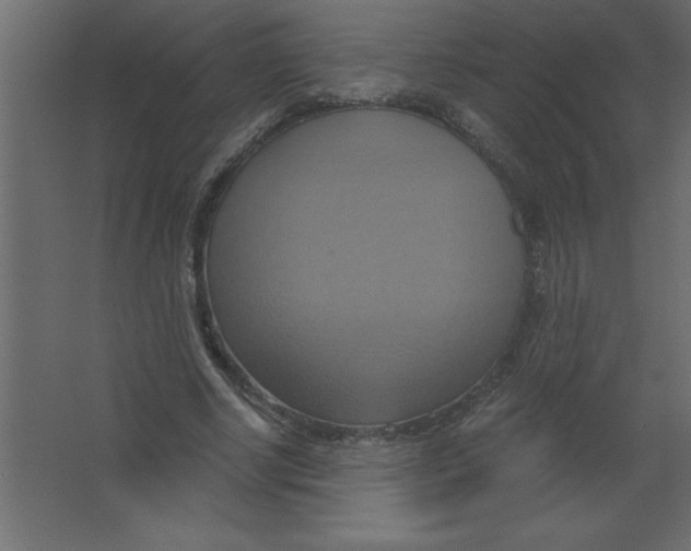 X0000067350634200604212002