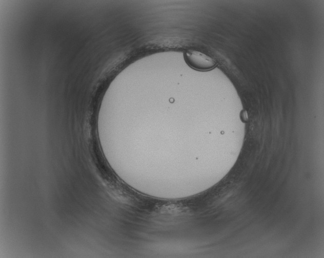 X0000067350635200604212002