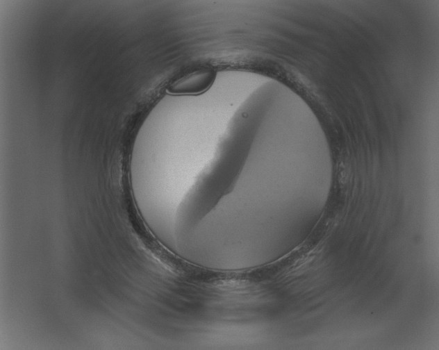 X0000067350637200604212002