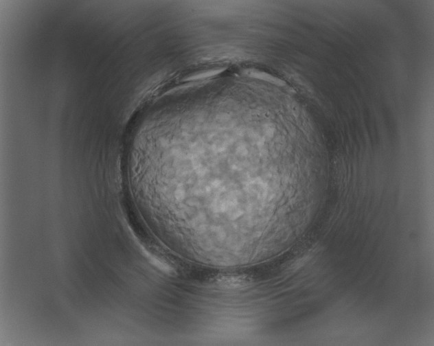 X0000067350638200604212002