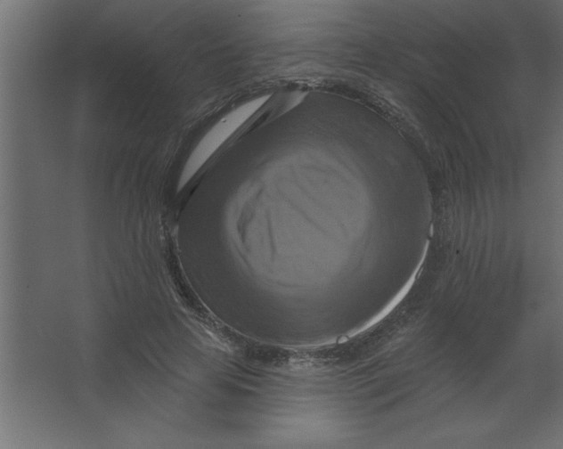 X0000067350641200604212002