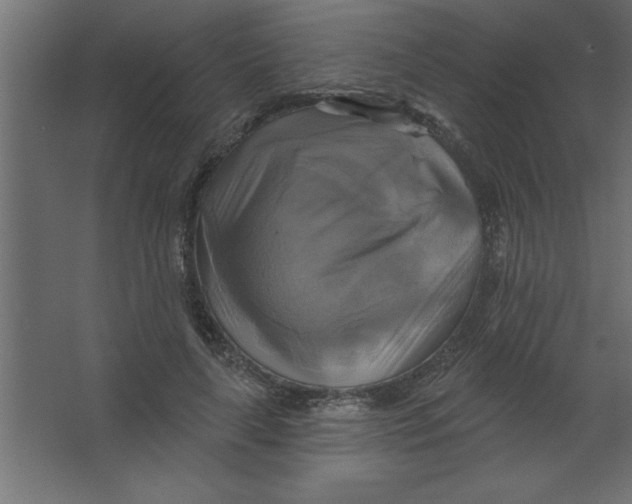 X0000067350643200604212002