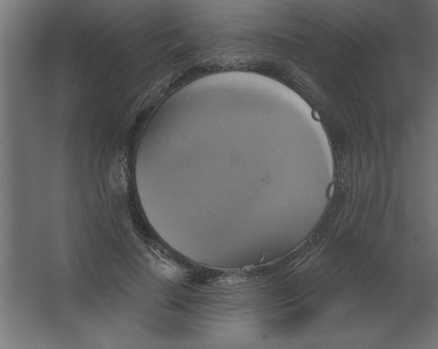 X0000067350644200604212002