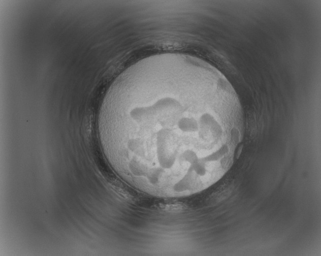 X0000067350645200604212002