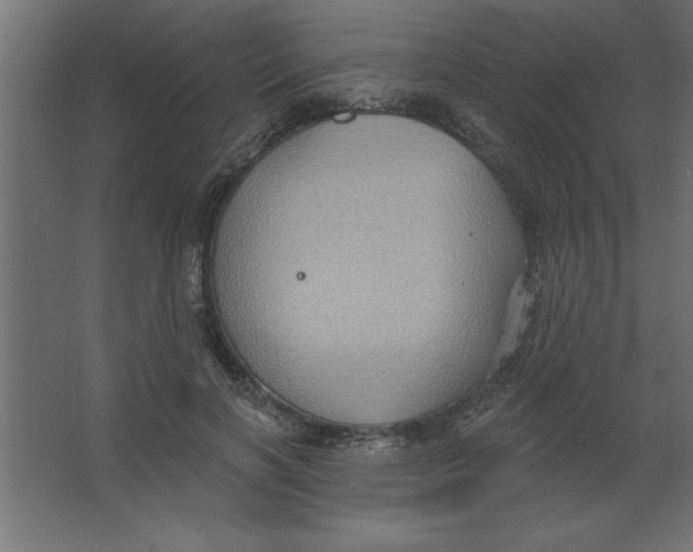 X0000067350646200604212003