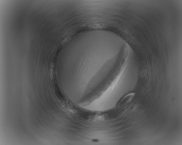 X0000067350647200604212003