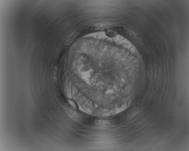 X0000067350649200604212003