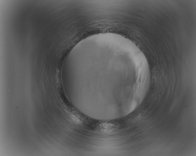 X0000067350650200604212003