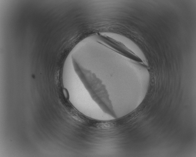 X0000067350652200604212003