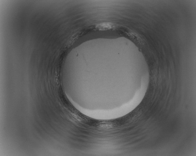 X0000067350653200604212003