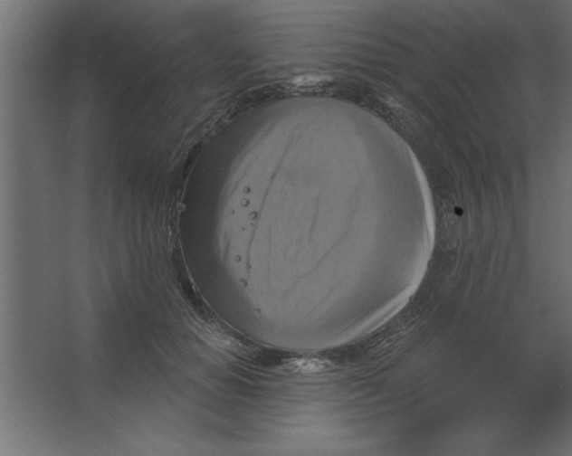 X0000067350654200604212003