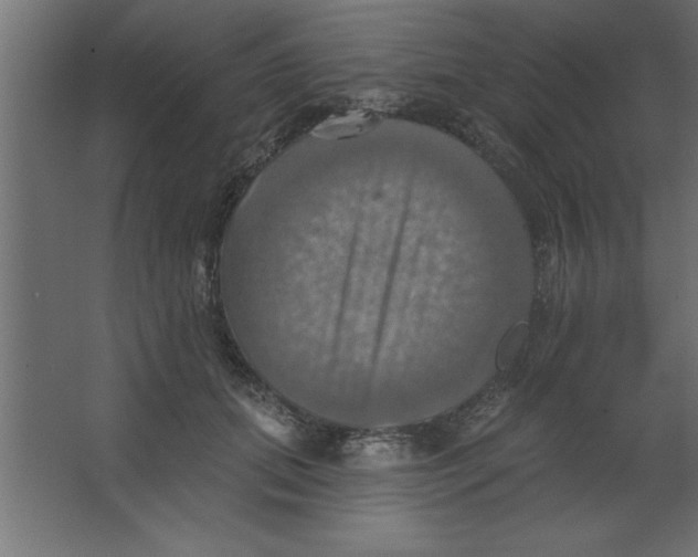 X0000067350655200604212003