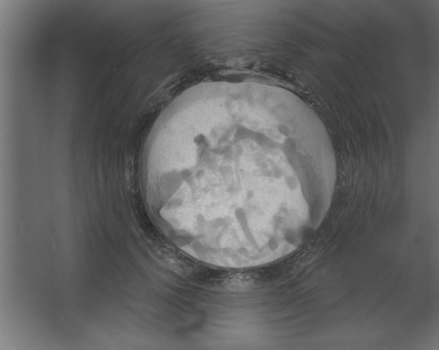 X0000067350656200604212003