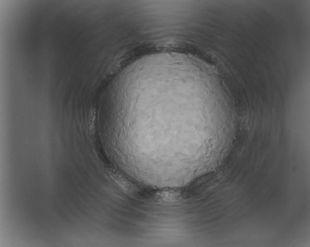 X0000067350660200604212003