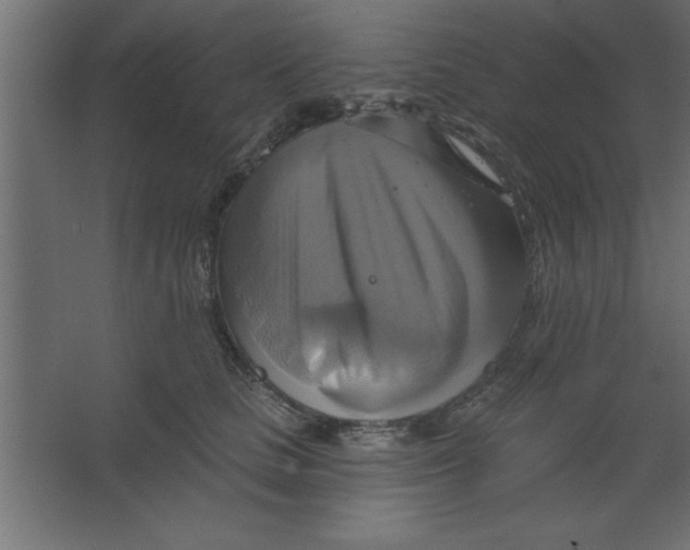 X0000067350661200604212003