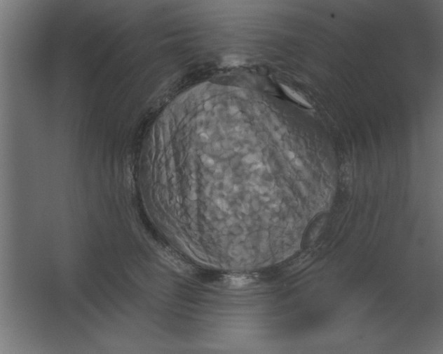 X0000067350662200604212003