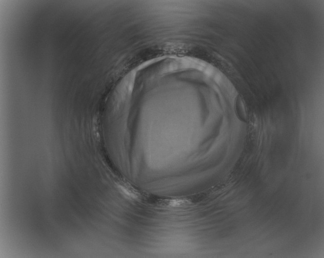 X0000067350663200604212003