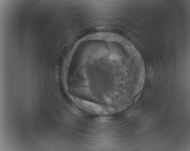 X0000067350664200604212003