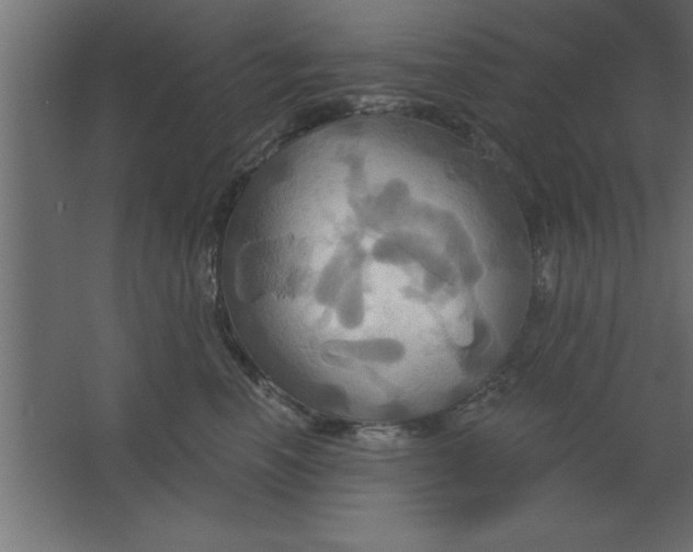 X0000067350666200604212003