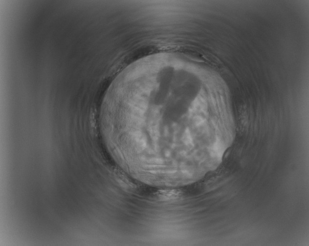 X0000067350667200604212003