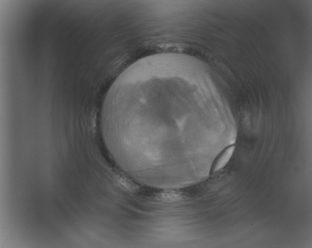 X0000067350668200604212003