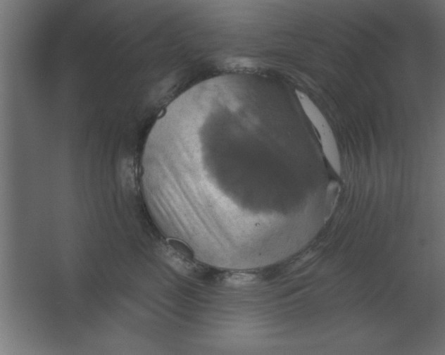 X0000067350669200604212003