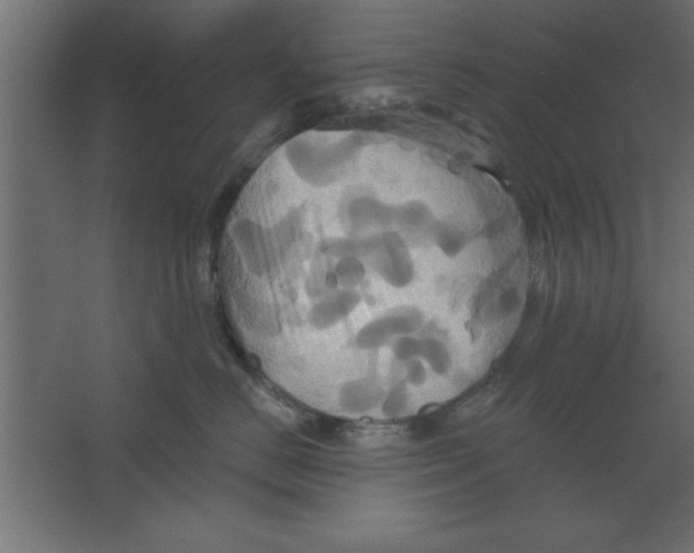 X0000067350670200604212003