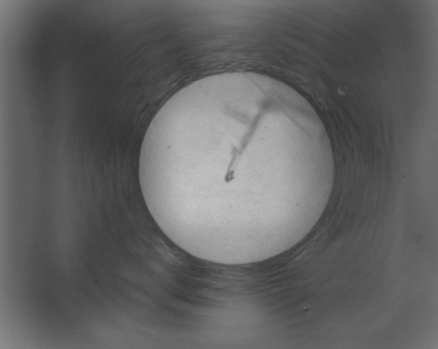 X0000067350672200604212003