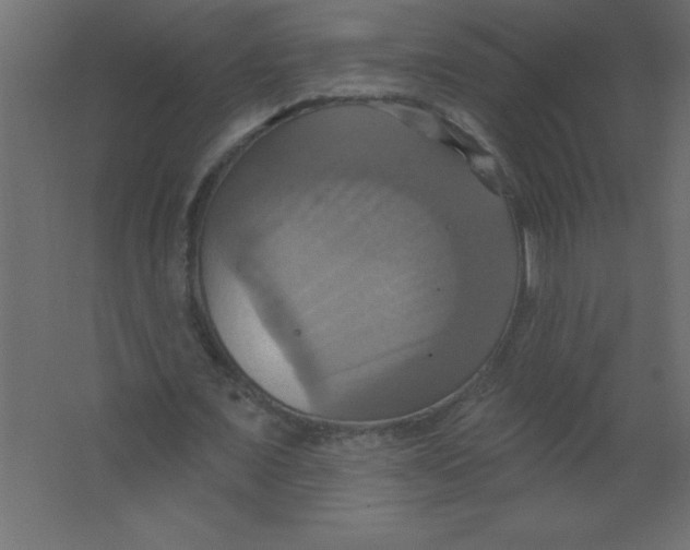 X0000067350675200604212002