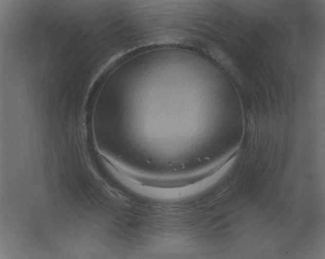 X0000067350676200604212002