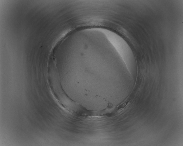 X0000067350677200604212002