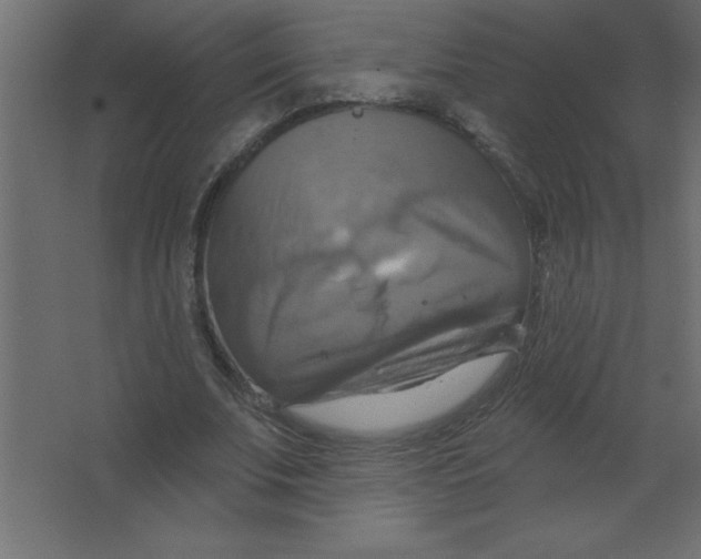 X0000067350679200604212002