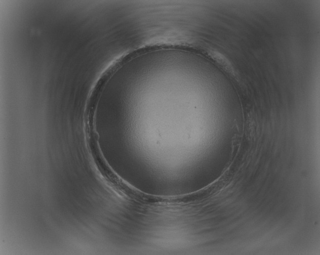 X0000067350680200604212002