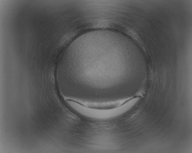 X0000067350681200604212002