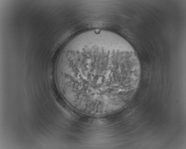 X0000067350683200604212002