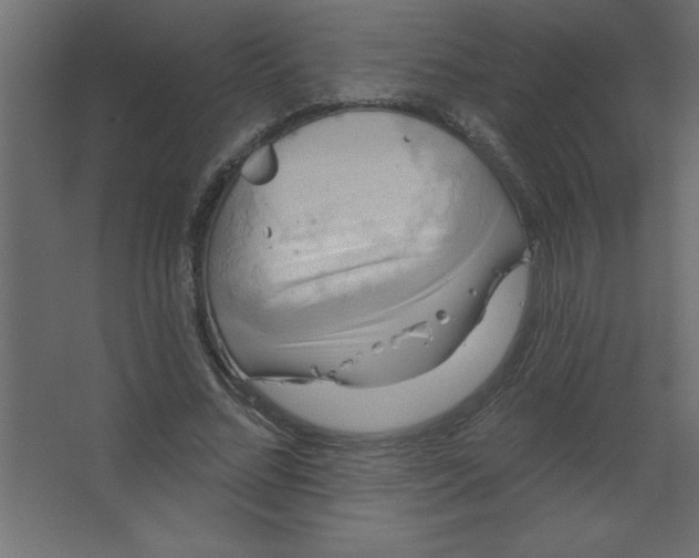 X0000067350684200604212002