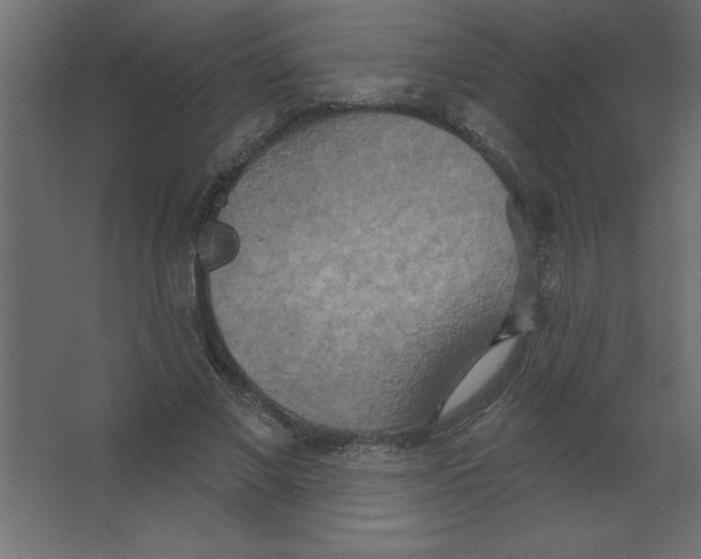 X0000067350685200604212002