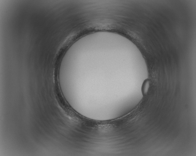 X0000067350686200604212002