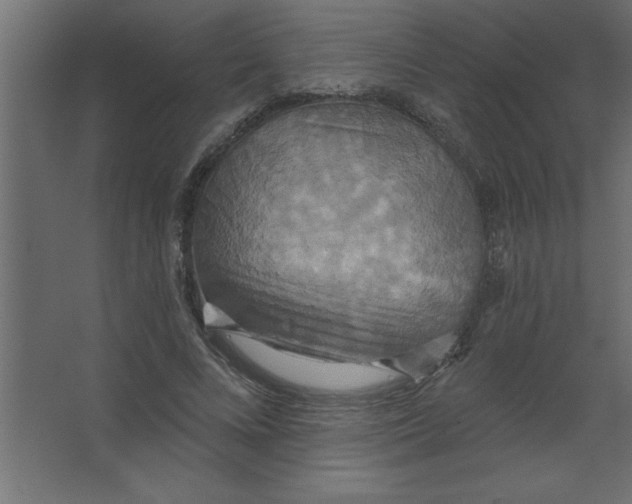 X0000067350688200604212002