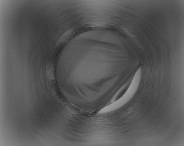 X0000067350689200604212002