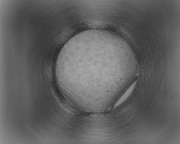 X0000067350690200604212002