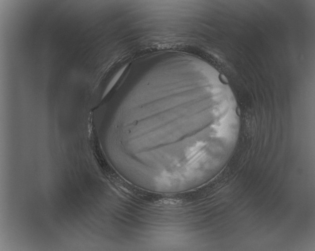 X0000067350691200604212002