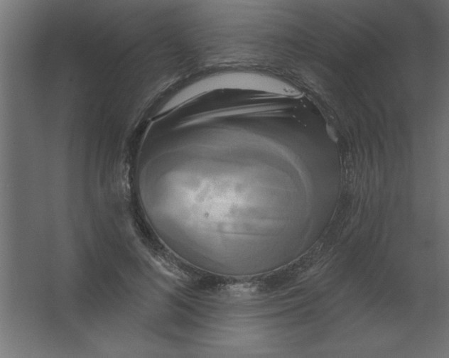 X0000067350692200604212002