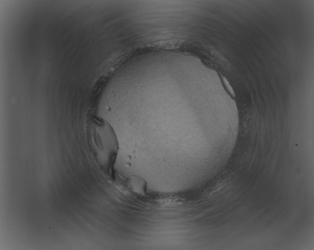 X0000067350693200604212002