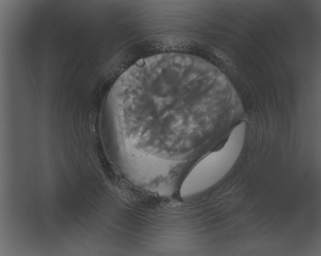 X0000067350695200604212002