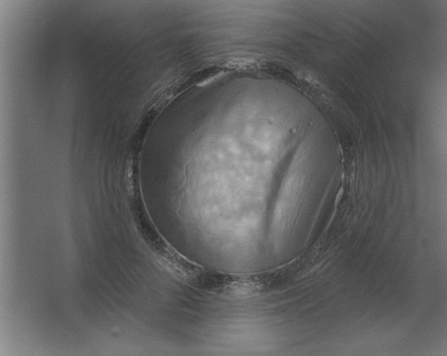 X0000067350696200604212002