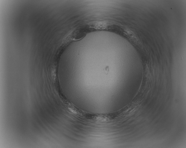 X0000067350697200604212002